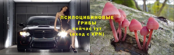 стаф Наволоки